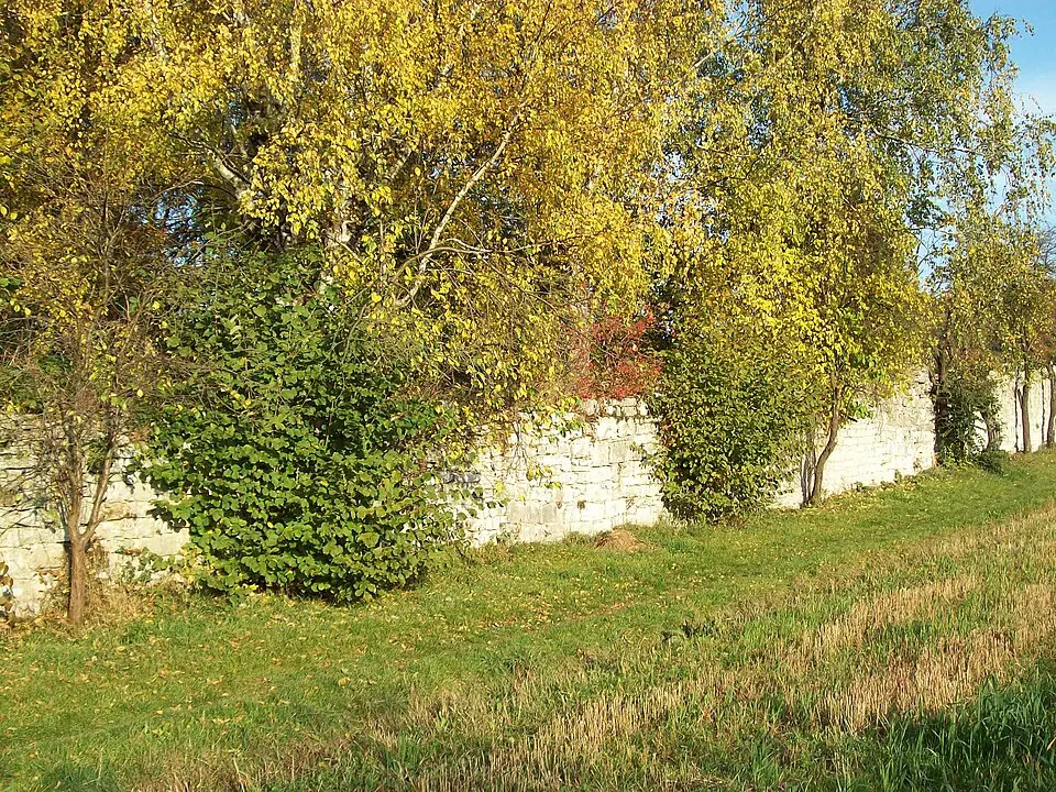 Image: WJM · CC BY-SA 3.0 Bodendenkmal in Engelthal, #D-5-6534-0145
