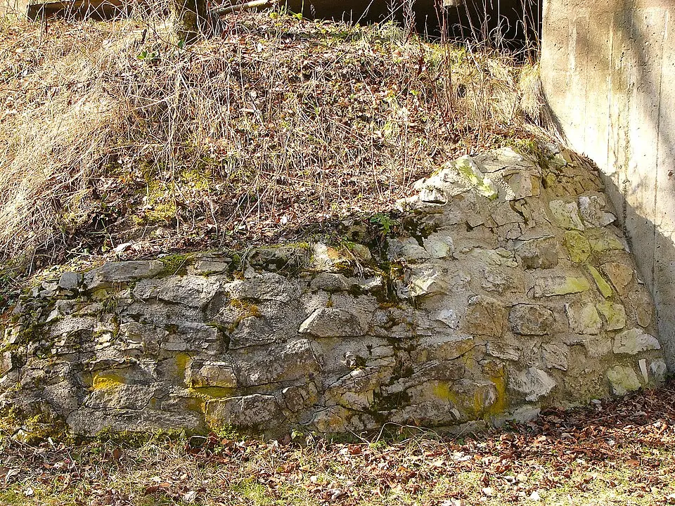 Burgruine