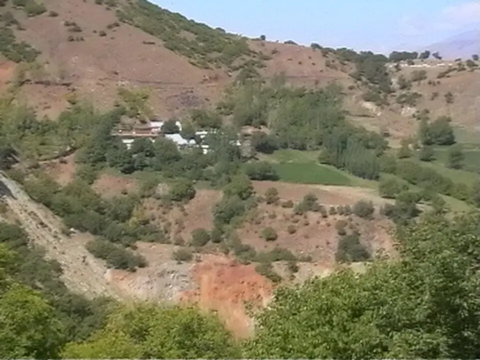 Süleymanuşağı