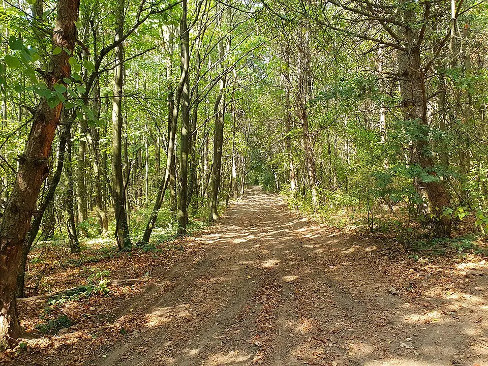 Málová
