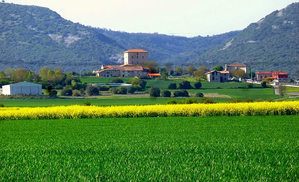 Martioda