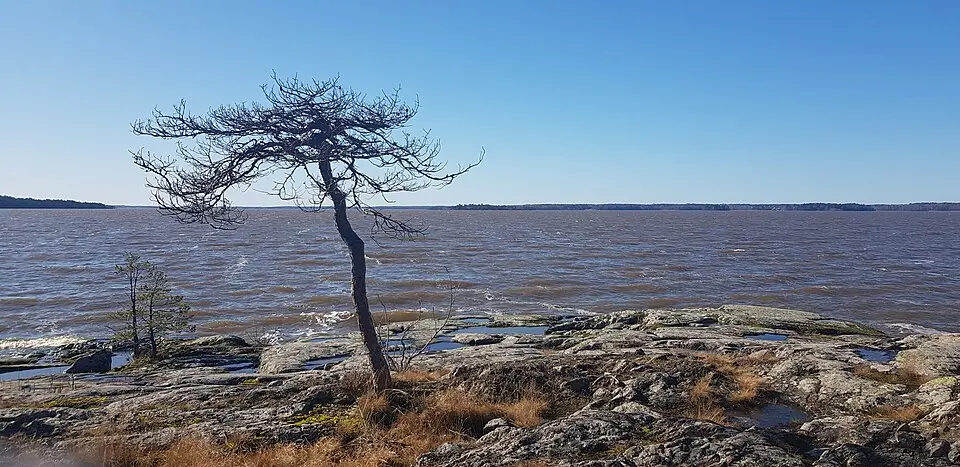 Ängsö