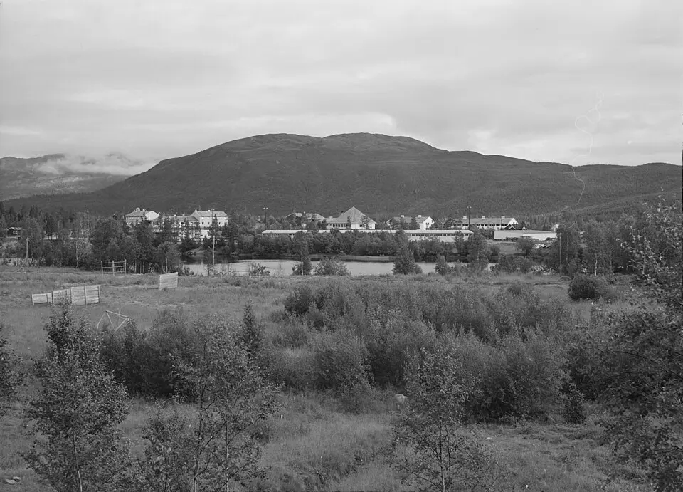 Øverbygd