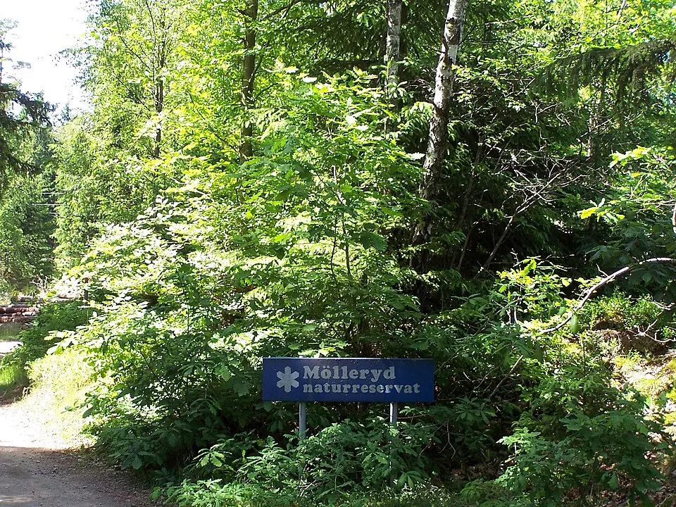 Mölleryd