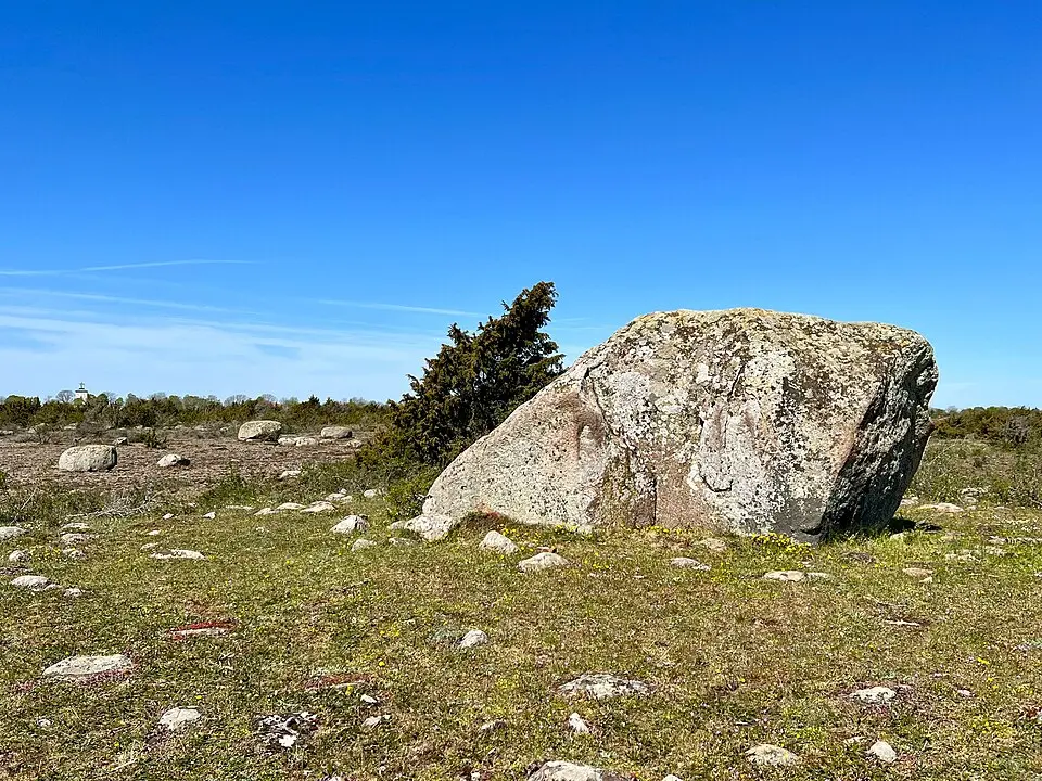 Stora Vickleby naturvårdsområde