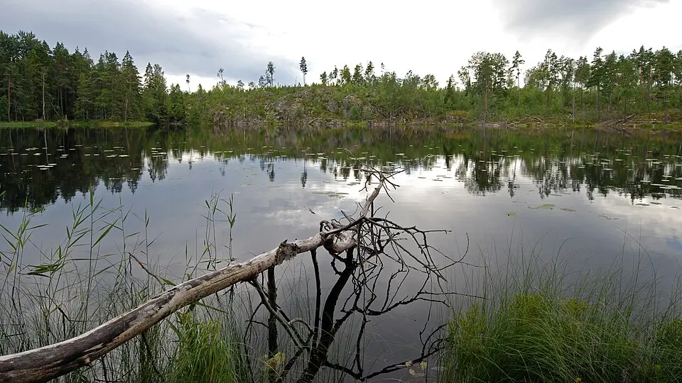 Mörtsjön