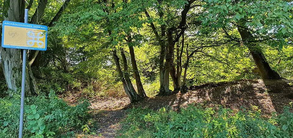 Immagine: Qwertzu111111 · CC BY-SA 4.0 Müggenburg
