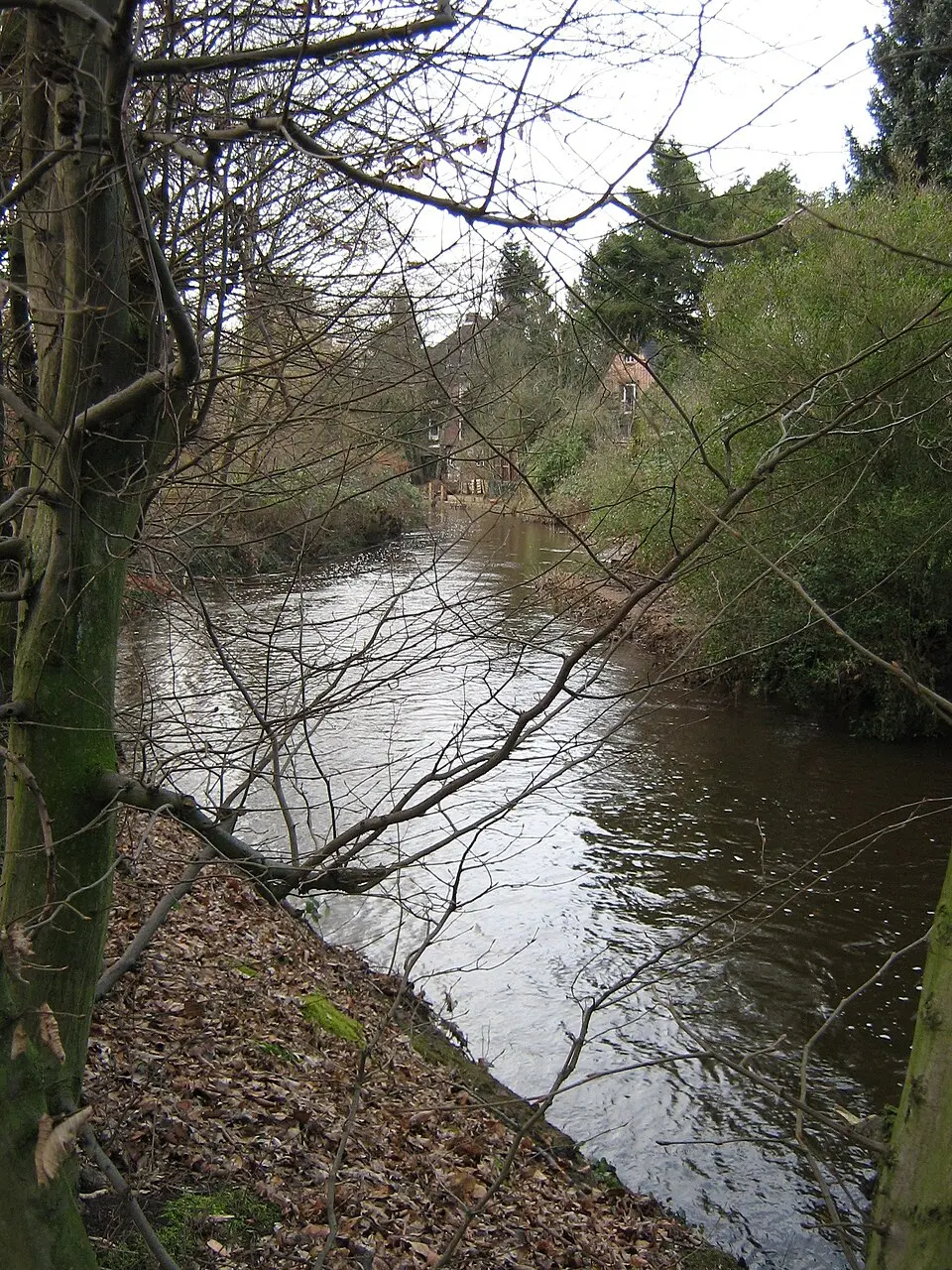 Mühlenau