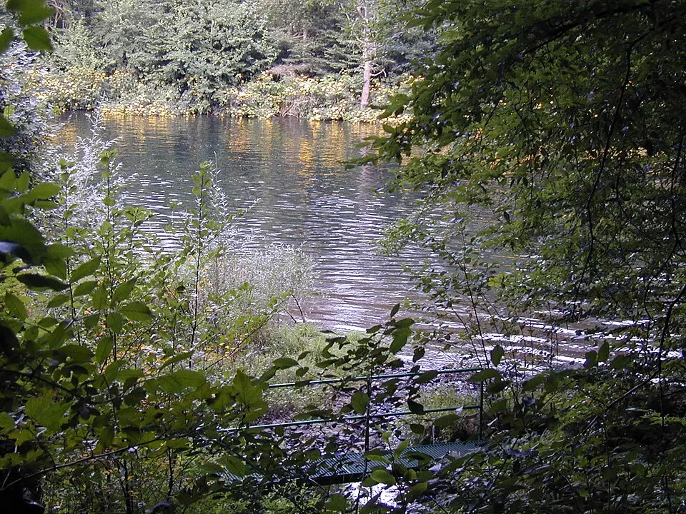Lohbach