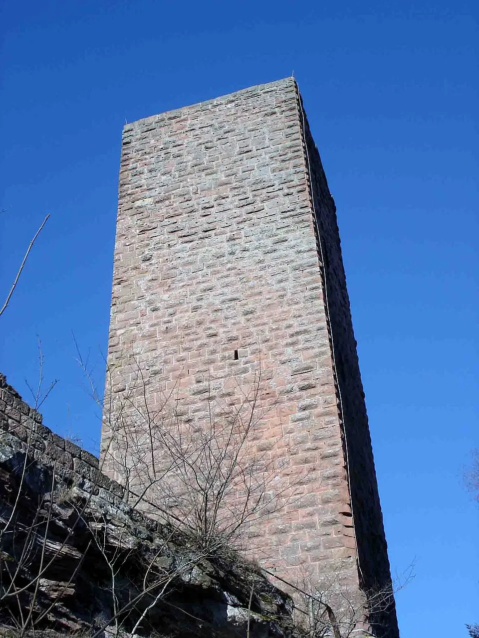 Burg Scharfenberg (Pfalz)