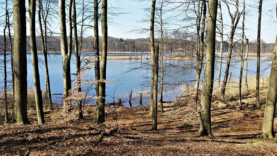 Schweingartensee