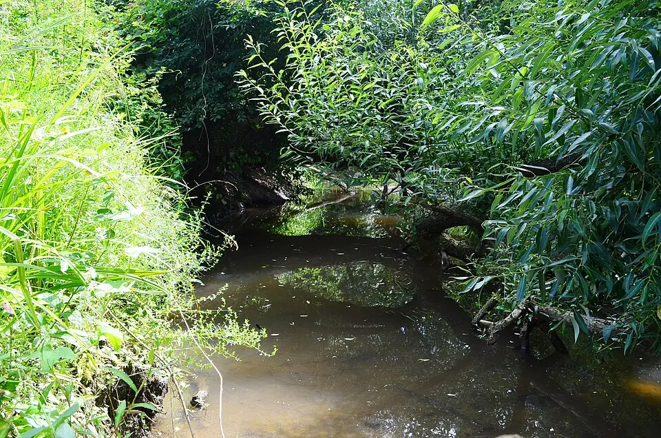 Mėkla