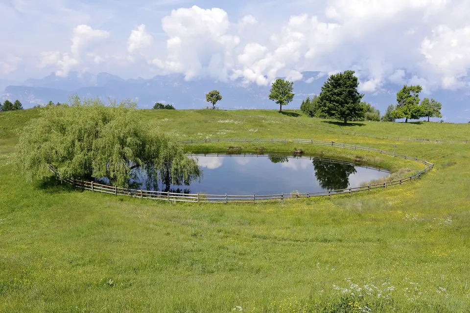 Naturpark Trudner Horn