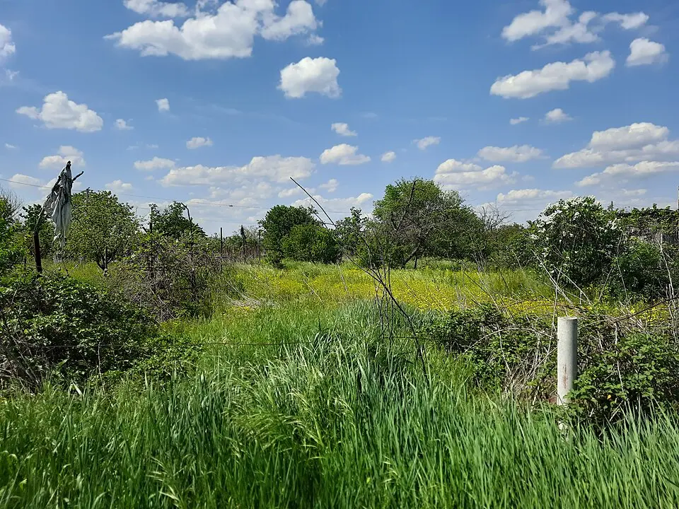 Așezare - Roșcani