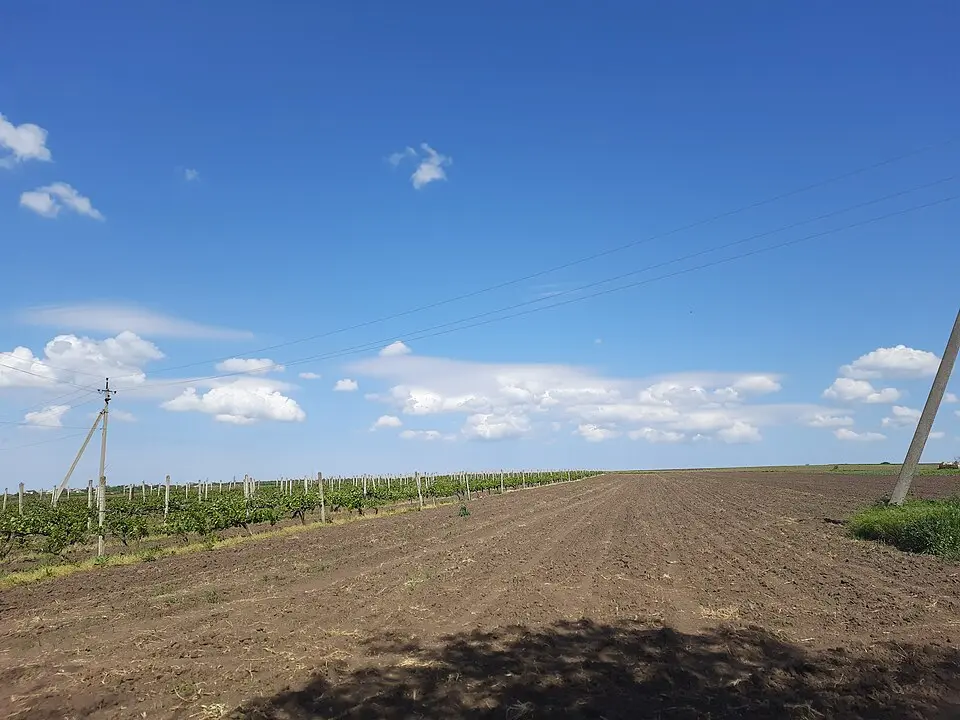 Așezare - Roșcani