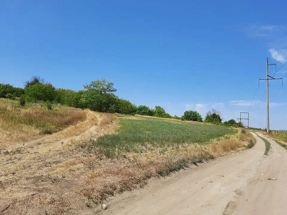 Așezare - Băcioi - V