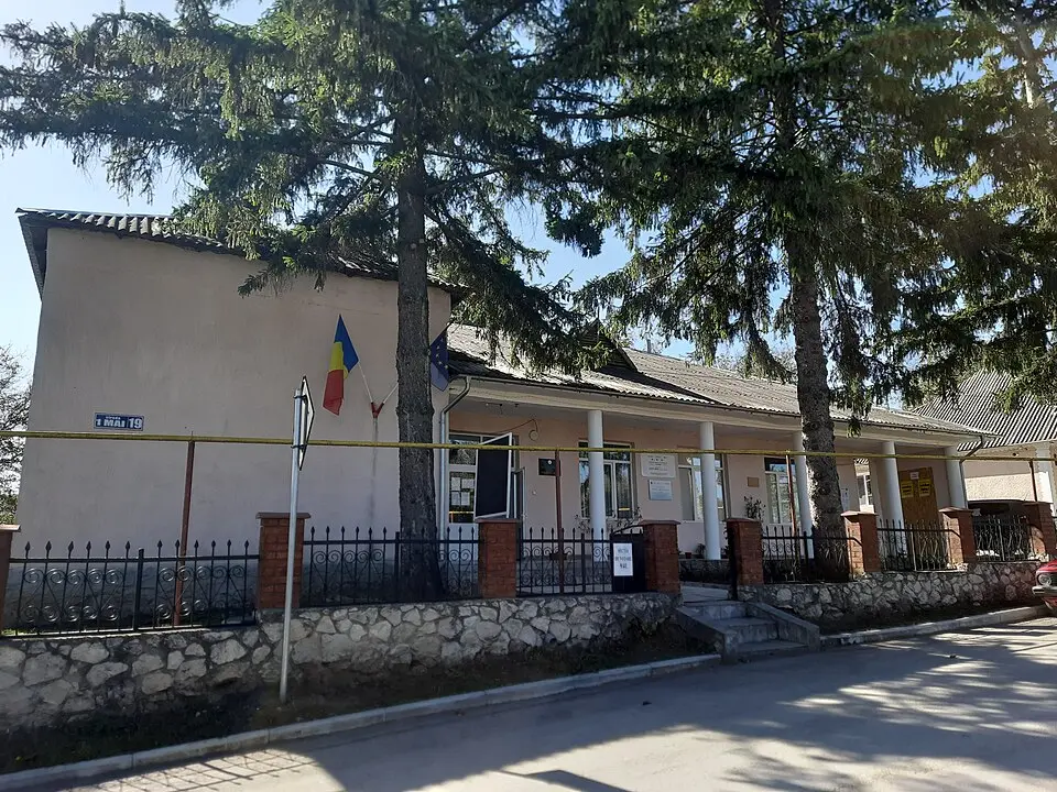 Tuzara