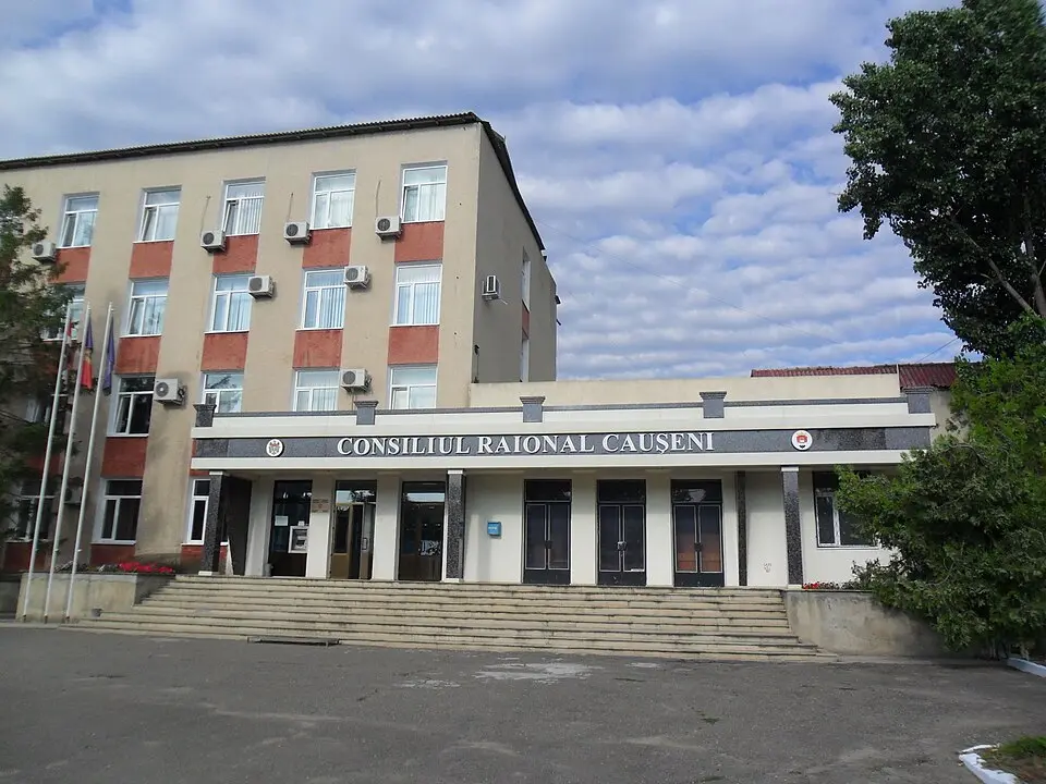 Căușeni