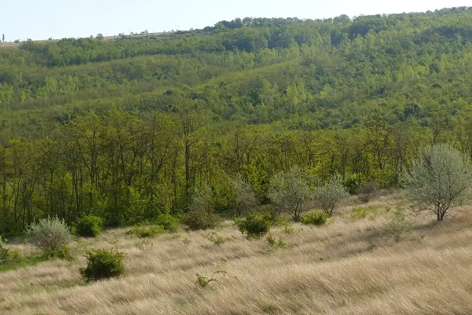Ciobalaccia