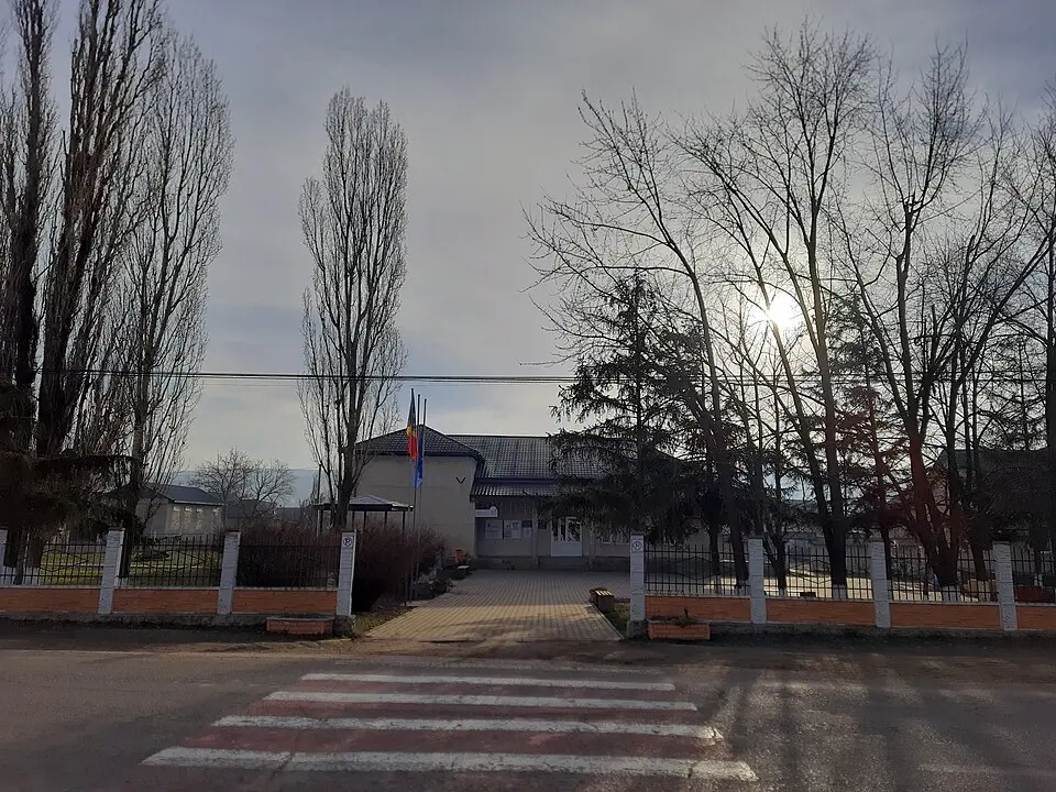 Pleșeni