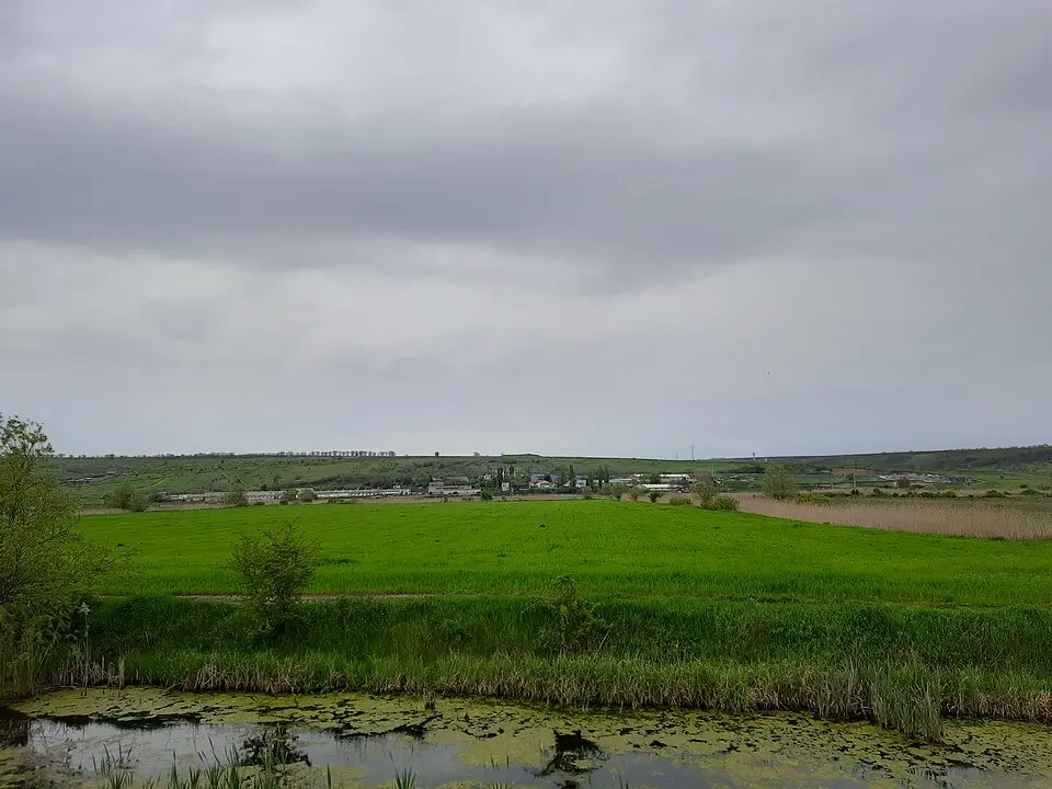 Așezare - Bardar - I