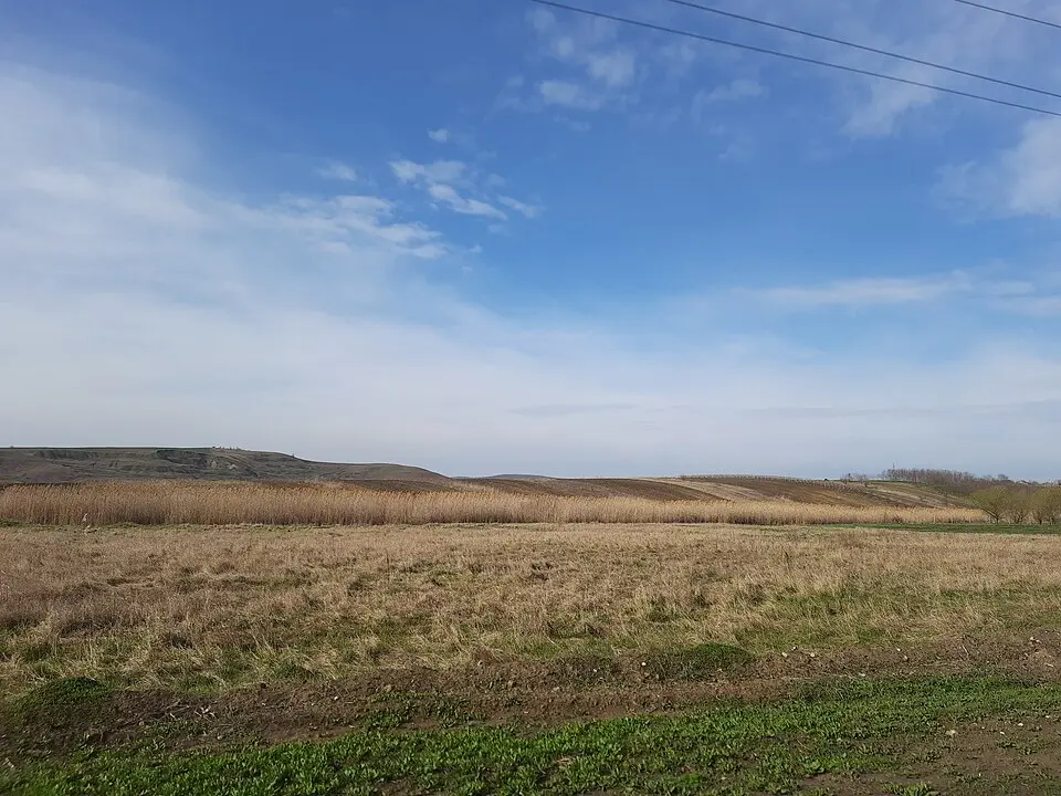 Așezare - Molești - I