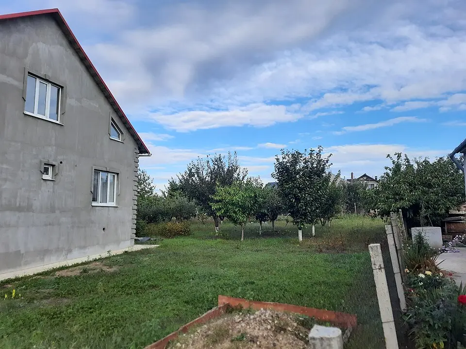 Așezare - Suruceni - IV