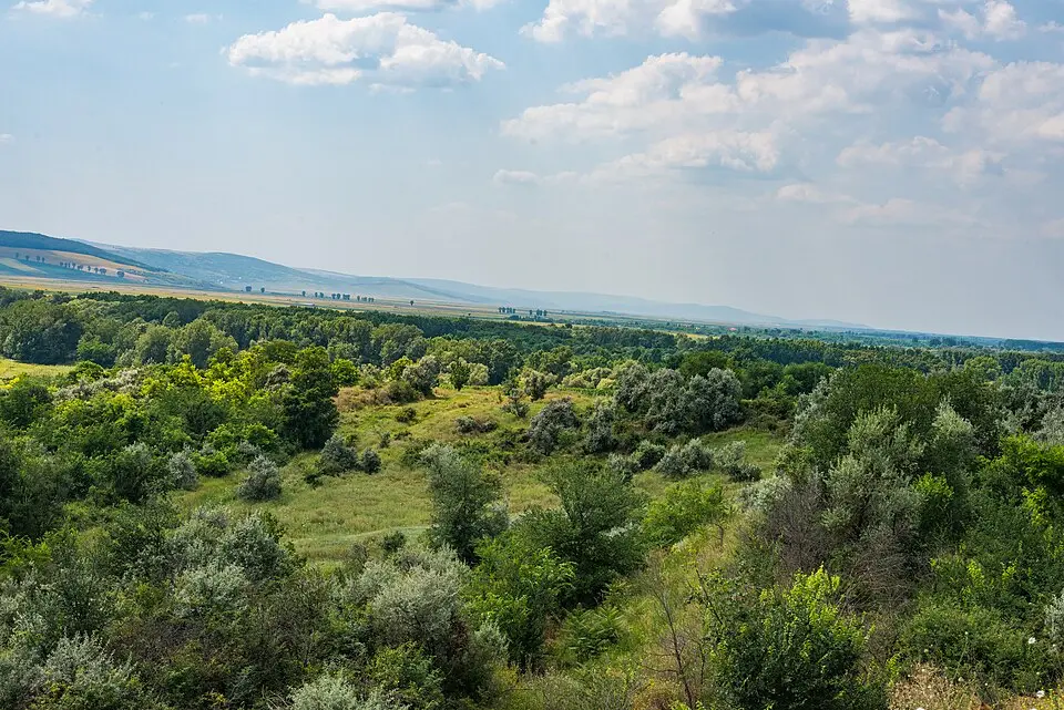 Zberoaia–Lunca