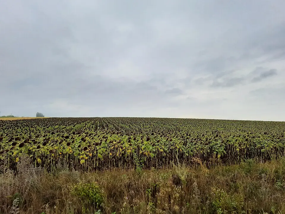 Tumul - Valea