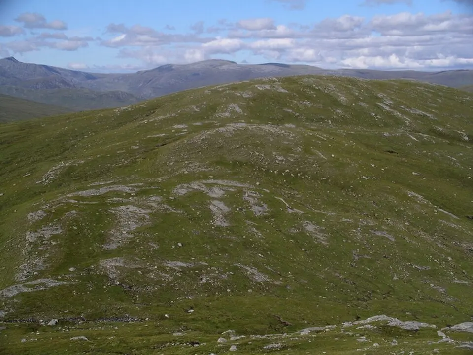 Meallan Buidhe