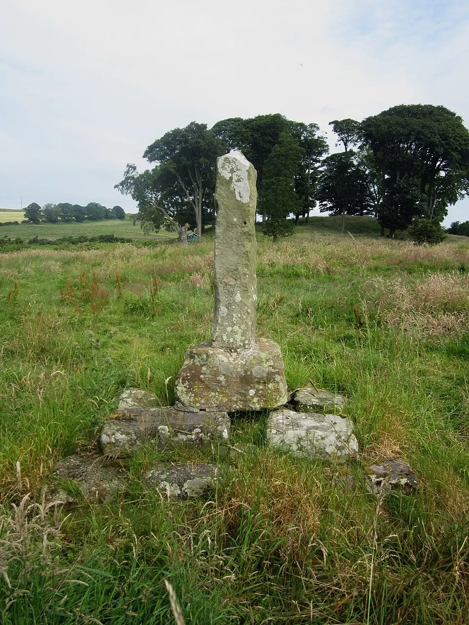 North Charlton medieval village and open field system