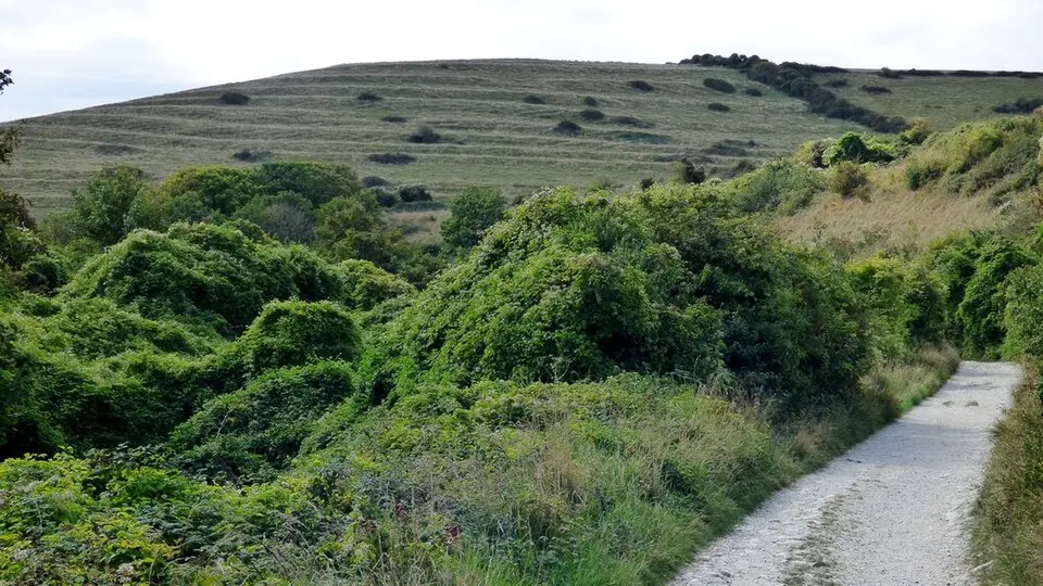 Group of medieval strip lynchets at East and West Man