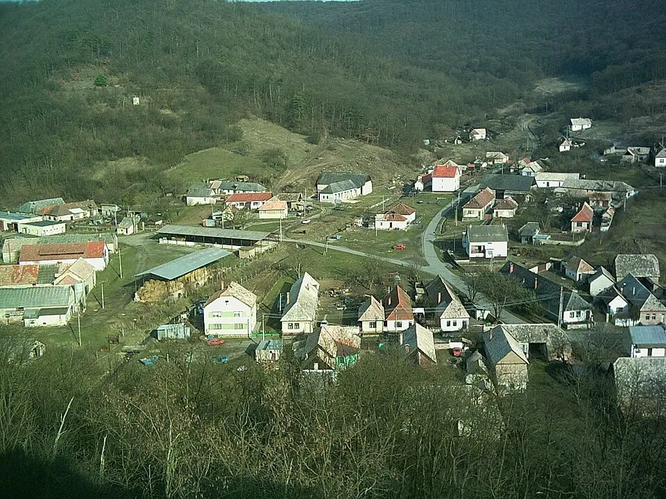 Méznevelő