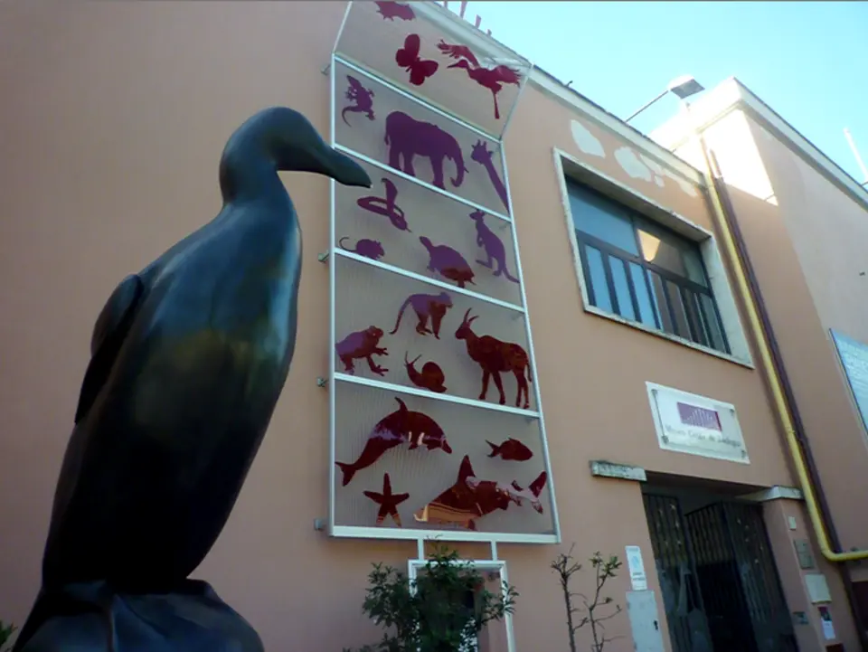 Museo civico di zoologia di Roma