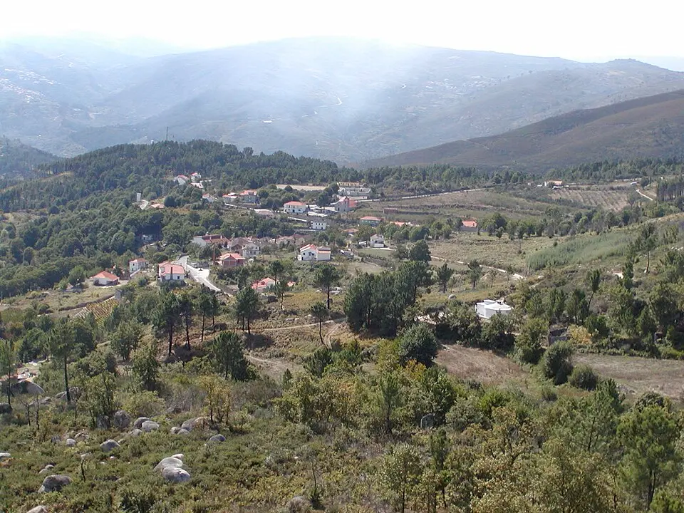 Melcões