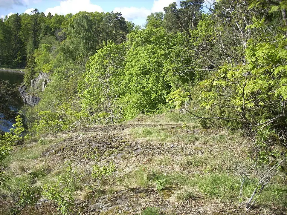 Mellomøya plantefredningsområde