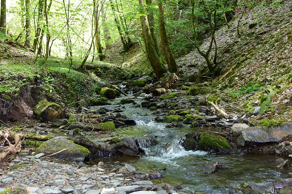 Laubach (Wied)