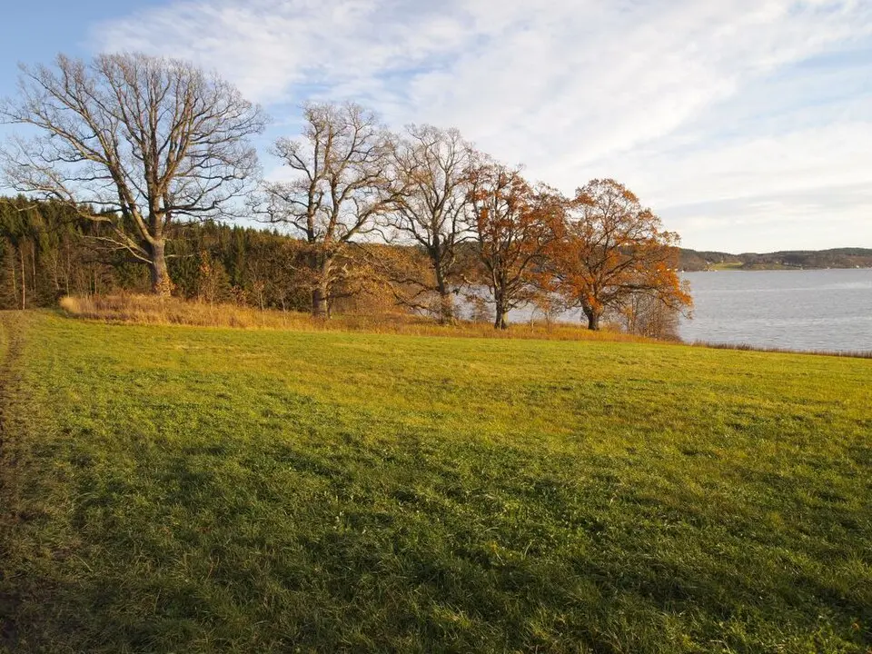 Melsom plante- og dyrefredningsområde