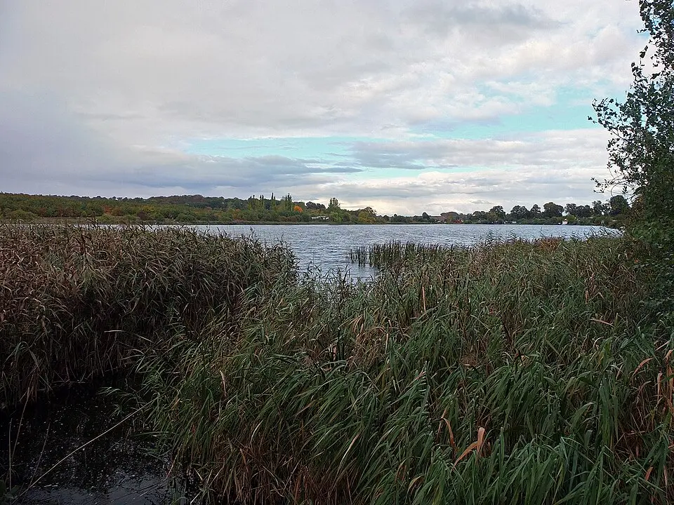 Melzer See (Waren)