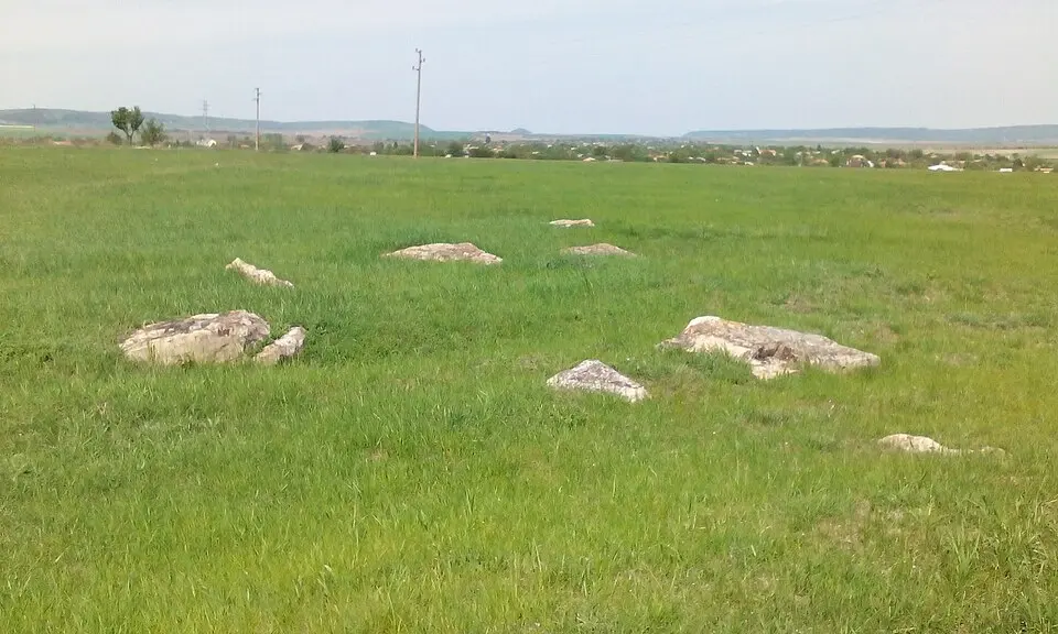 Златна нива