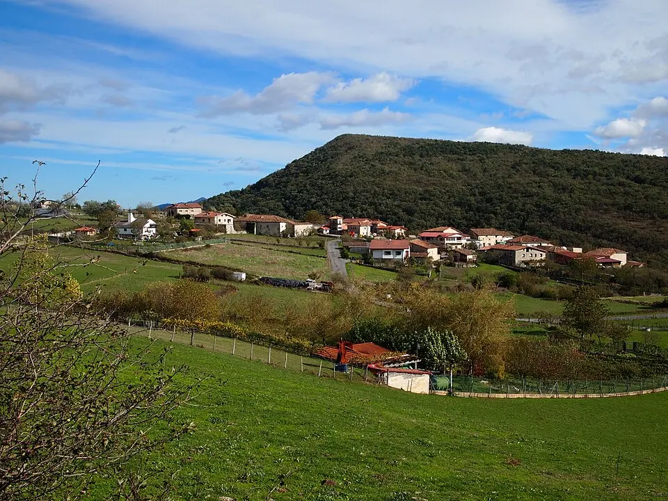 Menoyo