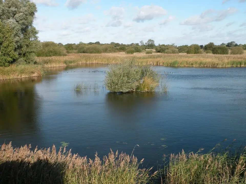 Woodwalton Fen National Nature Reserve