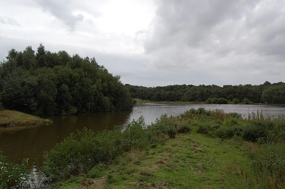 Mere Sands Wood