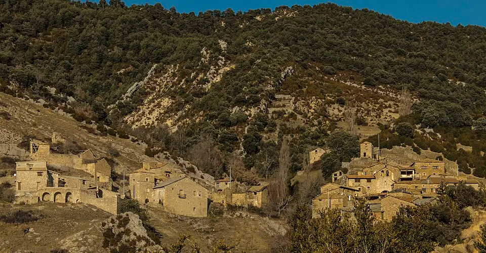 Merli