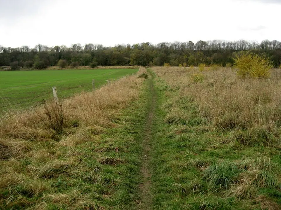 Low Coniscliffe and Merrybent