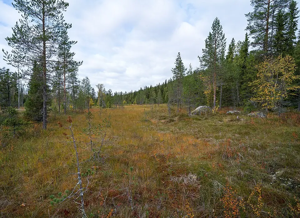 Mesjödalen