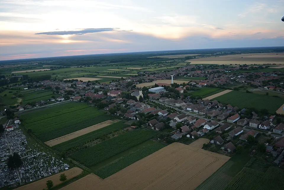 Foieni