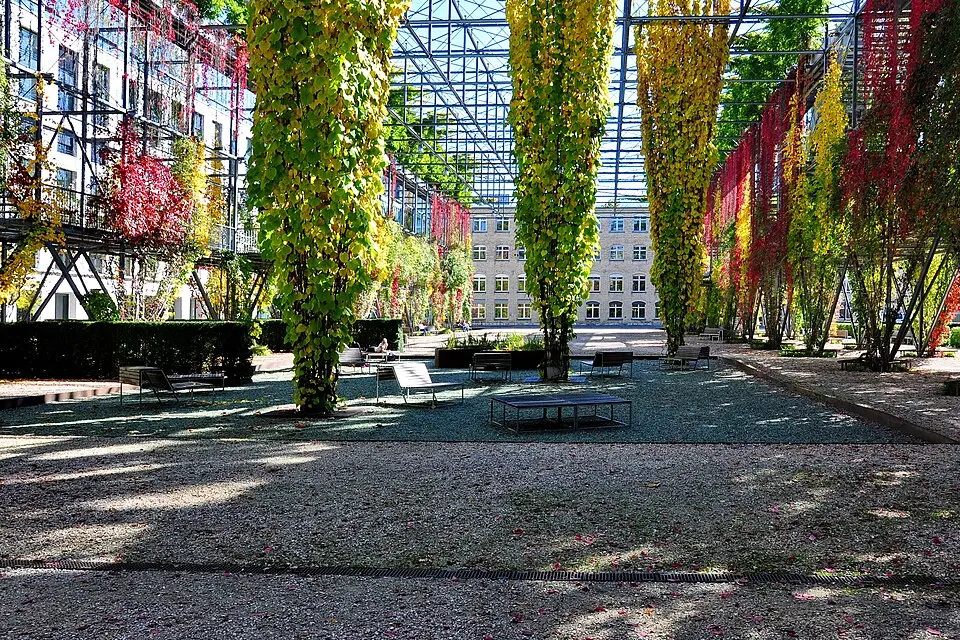 MFO-Park