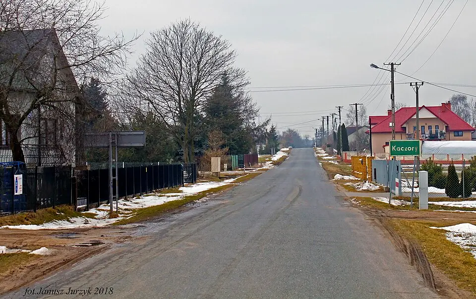 Kaczory