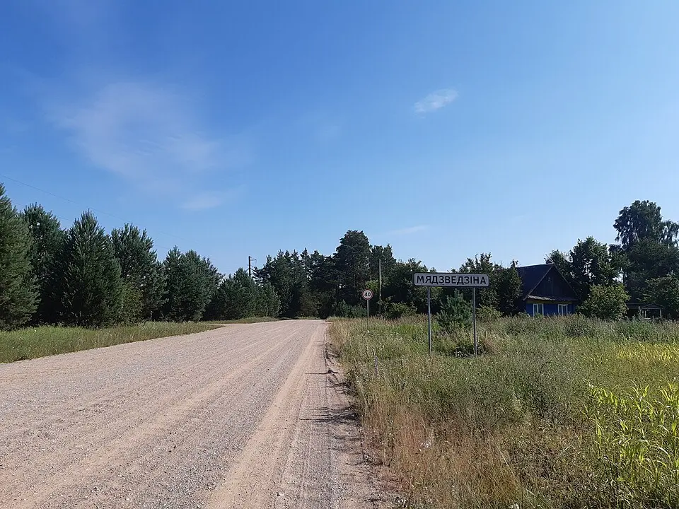 Мядзьведзіна